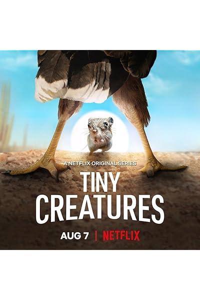 Tiny Creatures